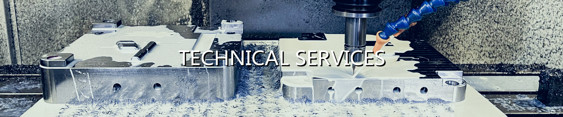 Technical Services